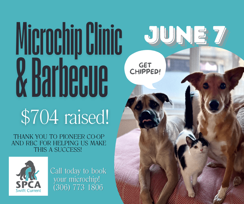 microchip clinic & Barbecue (5) graphic for microchip clinic